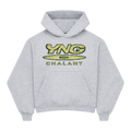 YNG martyr DVD Hoodie Grey